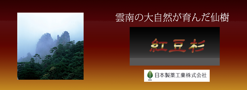 紅豆杉完成PNG